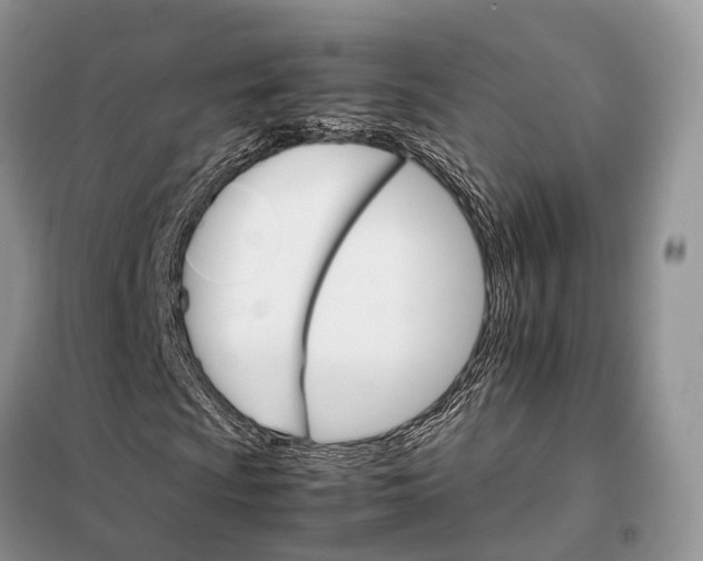 X0000098041009200804181250