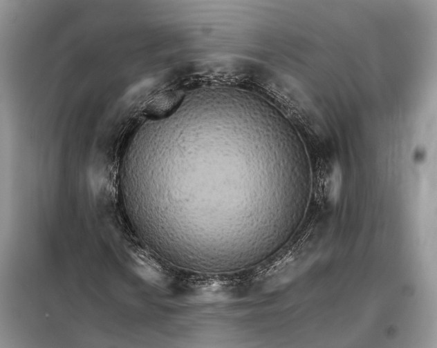 X0000098041010200804181250