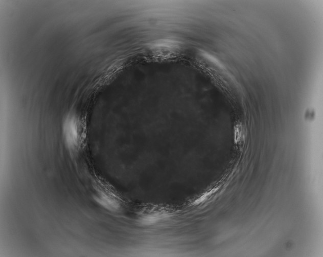 X0000098041011200804181250