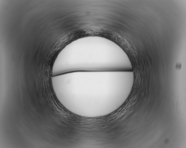 X0000098041012200804181250