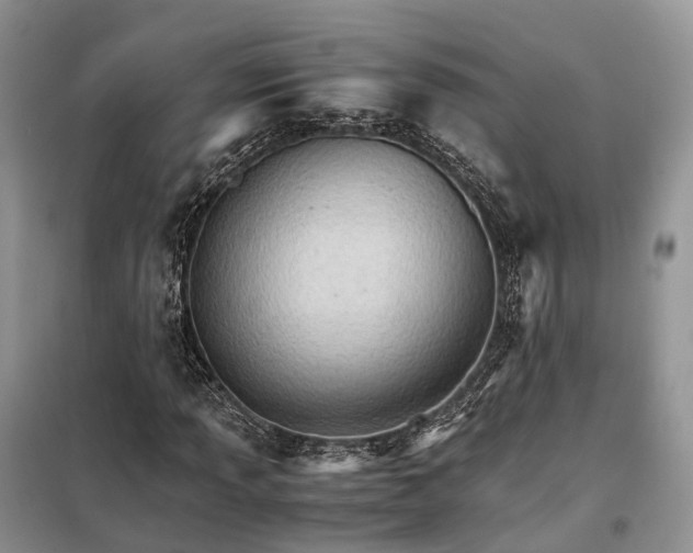 X0000098041013200804181250