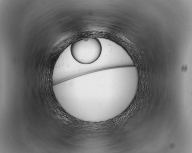 X0000098041014200804181250