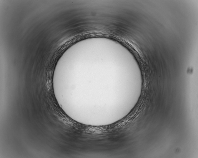 X0000098041015200804181250