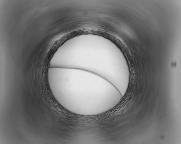 X0000098041016200804181250