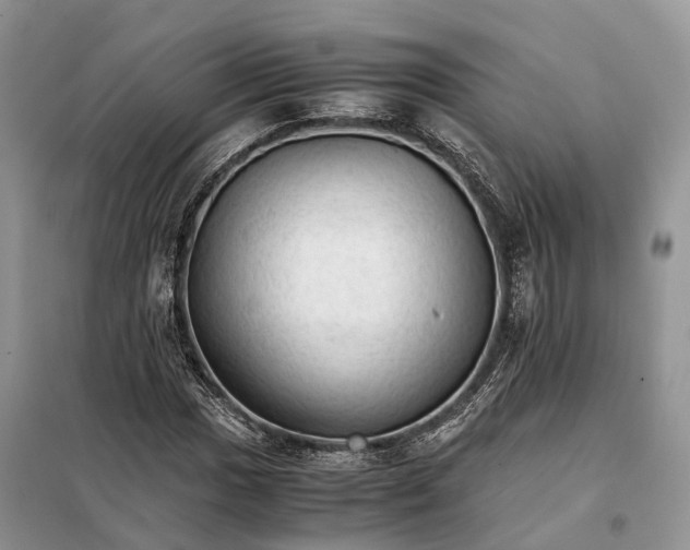 X0000098041017200804181250