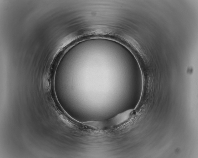 X0000098041018200804181250