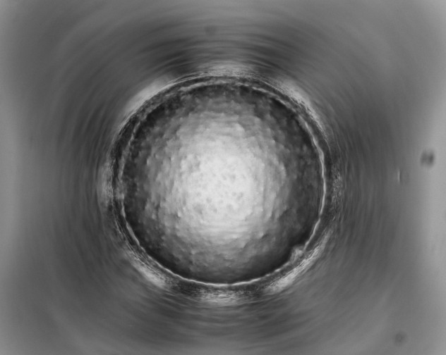 X0000098041019200804181250