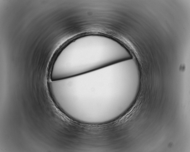 X0000098041020200804181250