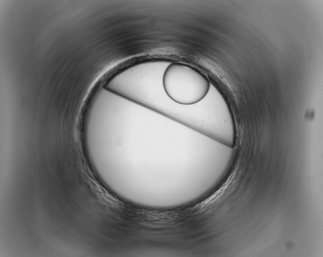 X0000098041021200804181250