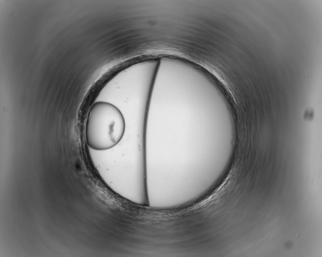 X0000098041022200804181250