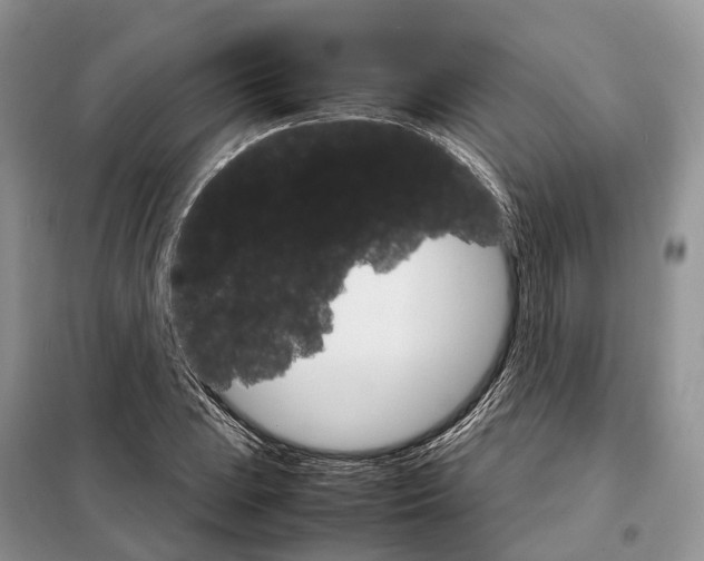 X0000098041023200804181250