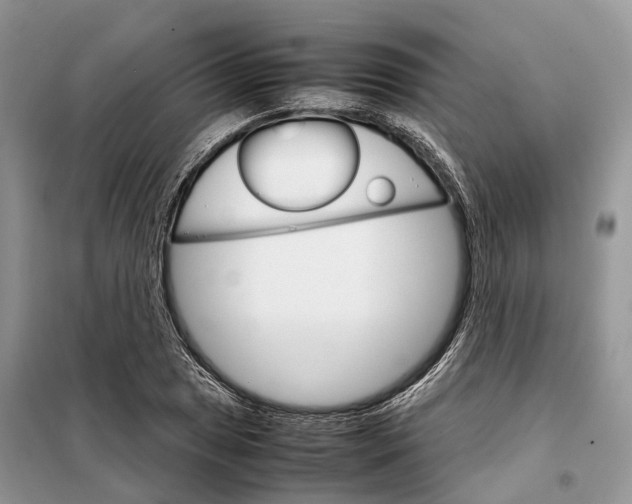 X0000098041025200804181250