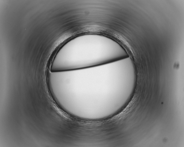 X0000098041026200804181250