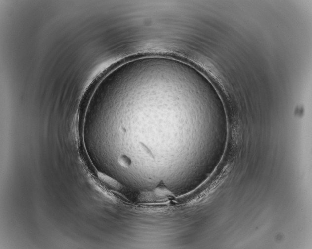 X0000098041030200804181250