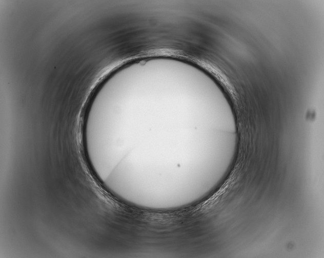 X0000098041031200804181250