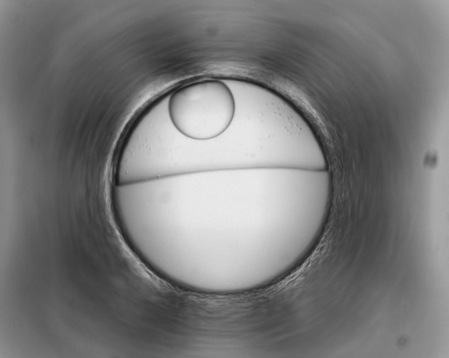 X0000098041032200804181250