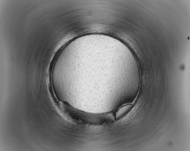 X0000098041034200804181250