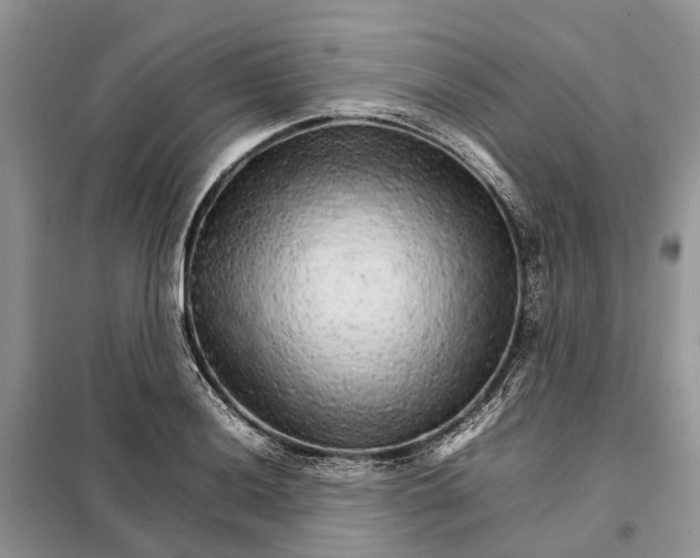 X0000098041036200804181250