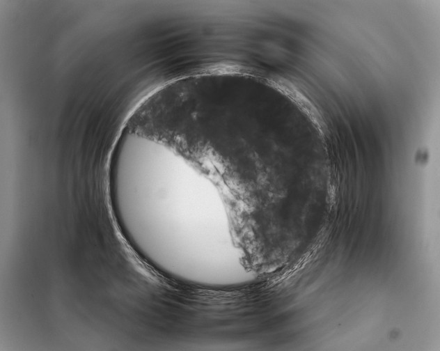 X0000098041039200804181250