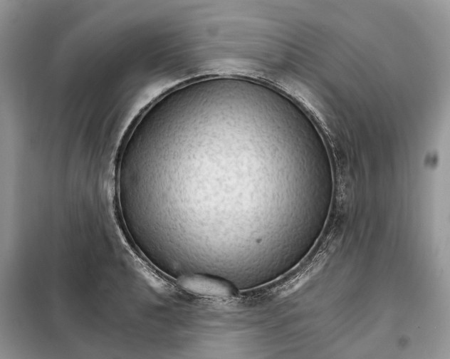 X0000098041040200804181250