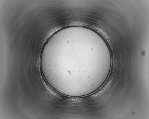 X0000098041041200804181250