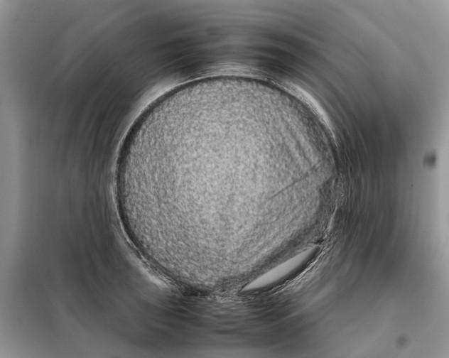 X0000098041043200804181250