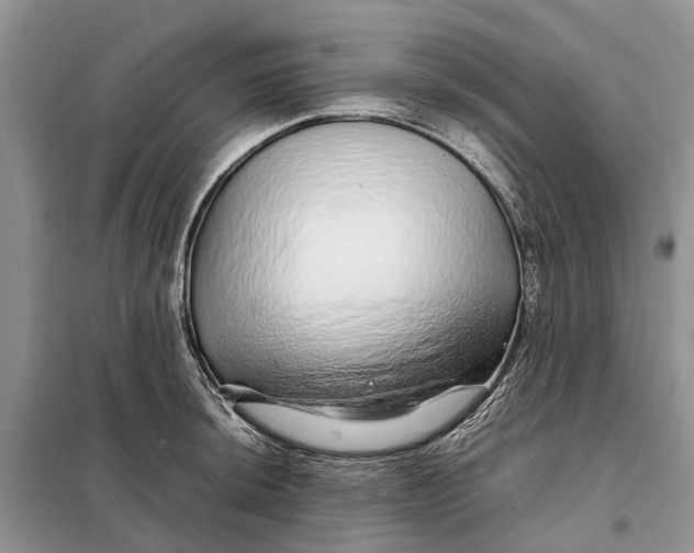 X0000098041044200804181250