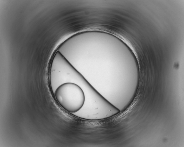 X0000098041045200804181250