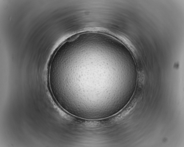 X0000098041046200804181250