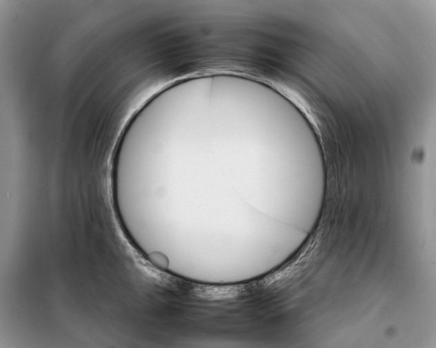 X0000098041047200804181250