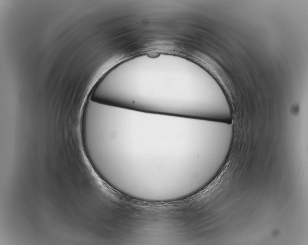 X0000098041050200804181251