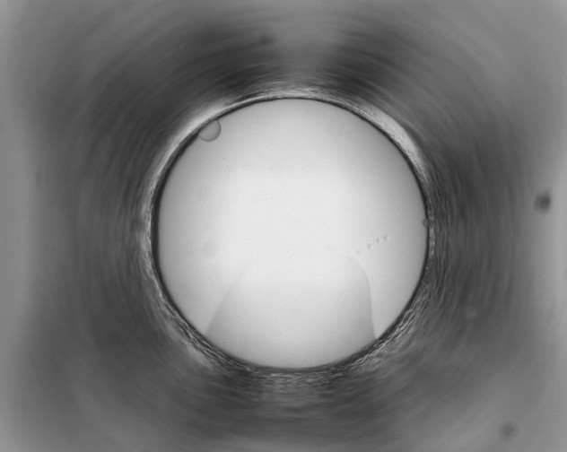 X0000098041051200804181251