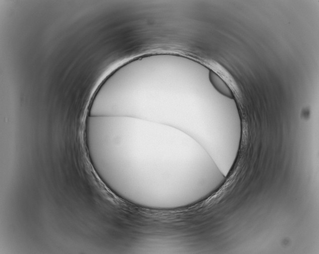 X0000098041052200804181251