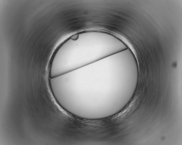 X0000098041053200804181251