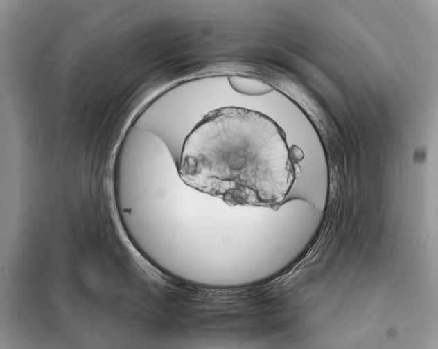 X0000098041055200804181251