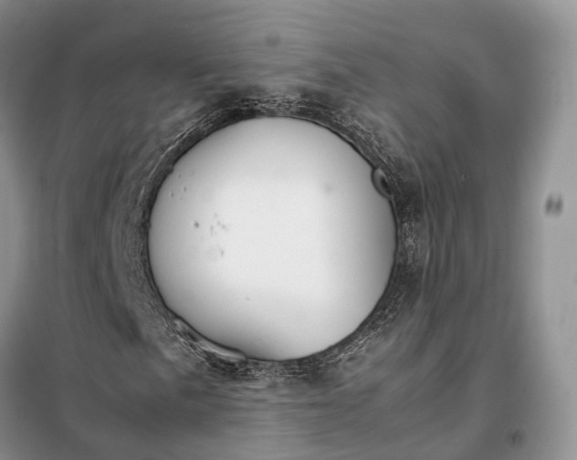 X0000098041057200804181250