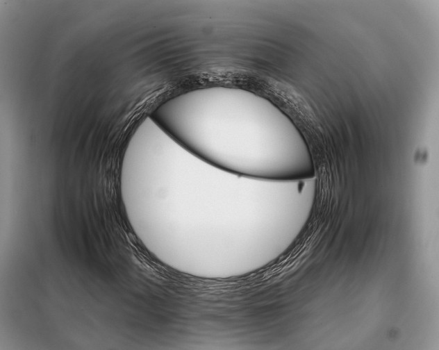 X0000098041060200804181250