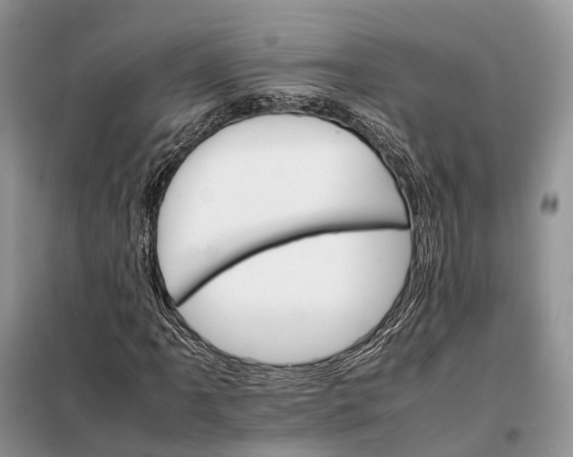 X0000098041061200804181250