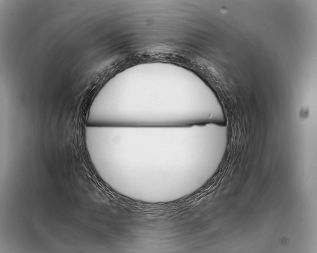 X0000098041062200804181250