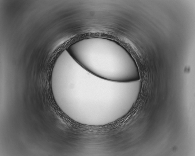 X0000098041064200804181250