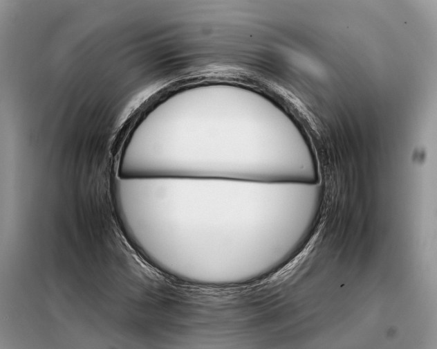 X0000098041066200804181250