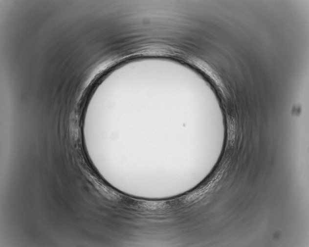 X0000098041067200804181250