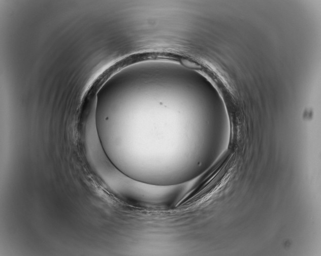 X0000098041069200804181250