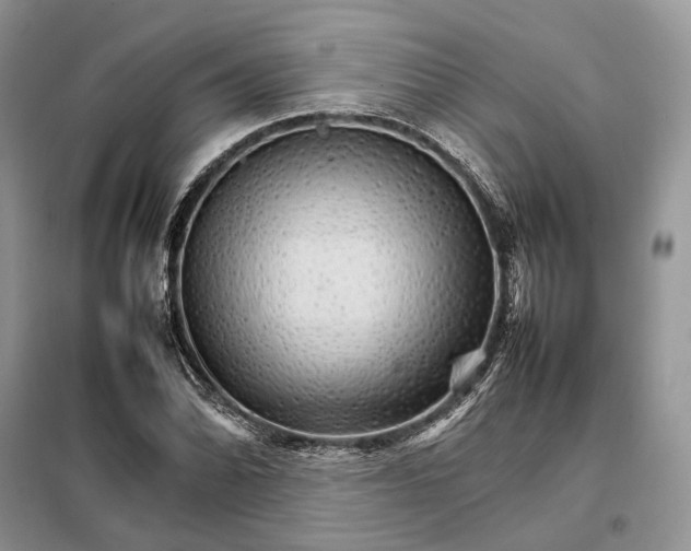 X0000098041070200804181250