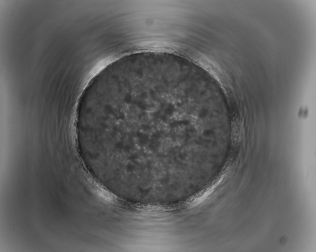 X0000098041071200804181250