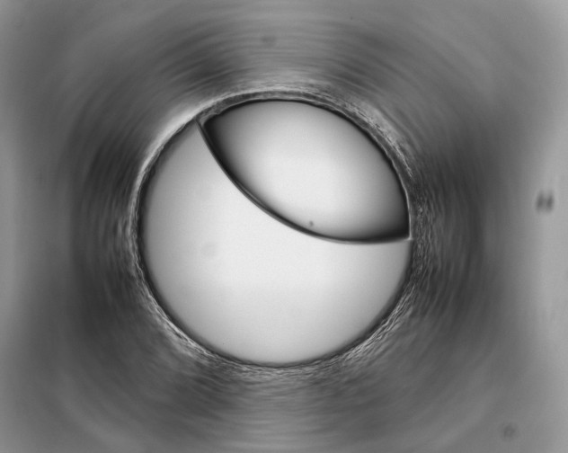 X0000098041072200804181250