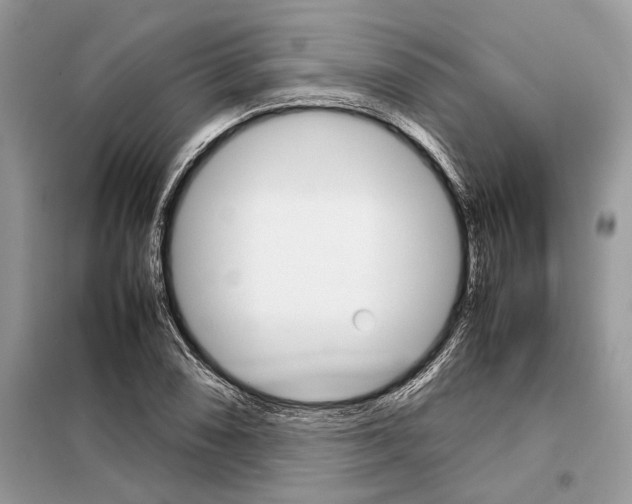 X0000098041074200804181250