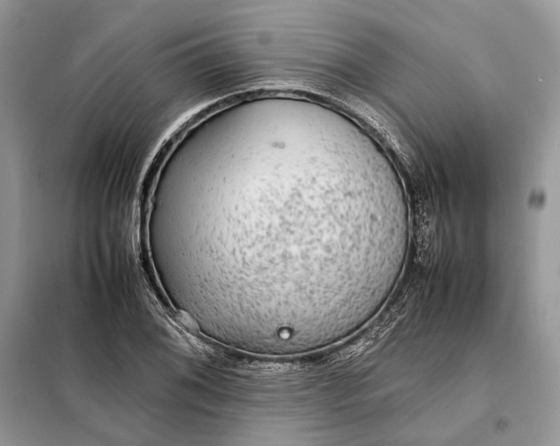 X0000098041076200804181250