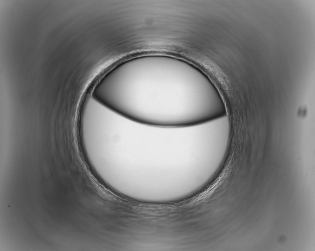 X0000098041077200804181250