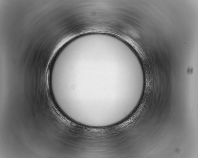 X0000098041078200804181250